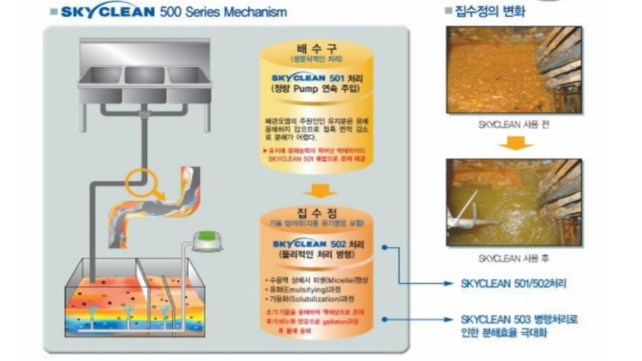 유지방 분해제 적용 전후